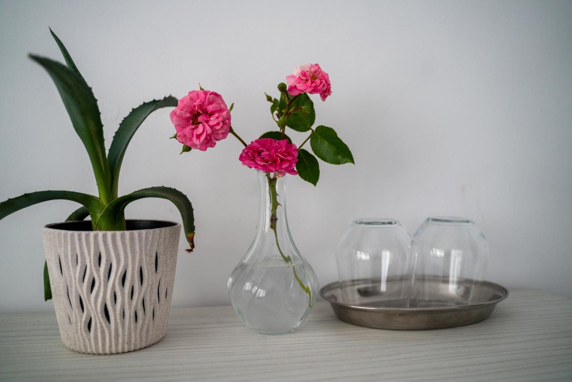 Din Natura Varbilau 외부 사진